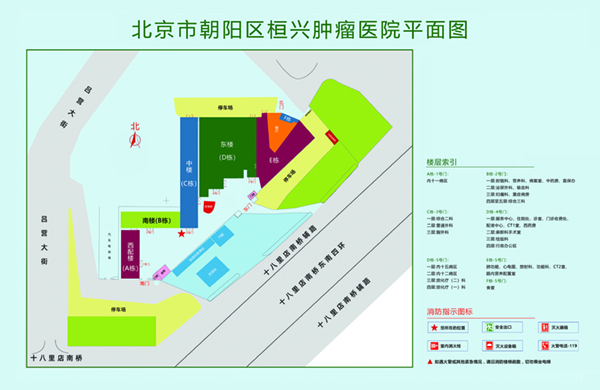 欧美橾逼网北京市朝阳区桓兴肿瘤医院平面图